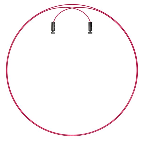 Speed Cable 2.5mm Jump Rope Earth 2.0